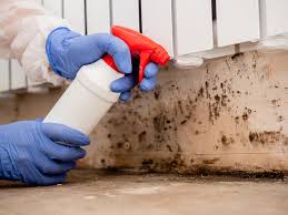 Best Industrial Mold Remediation  in Elkhart, TX